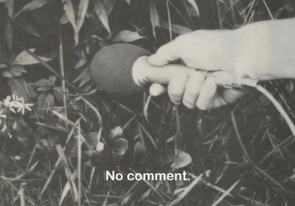 Building in the dark forest